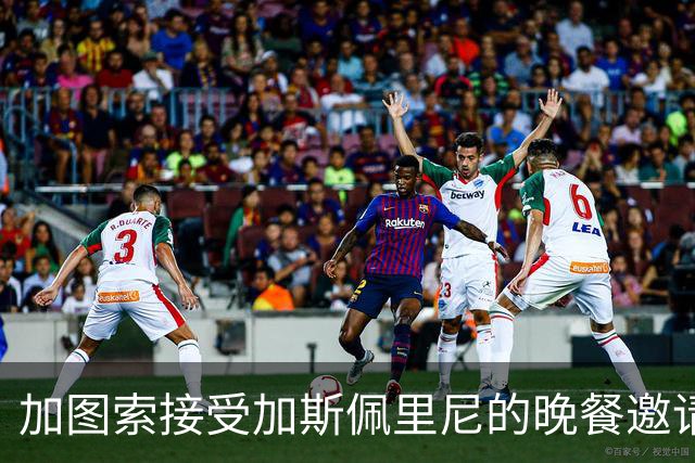加图索接受加斯佩里尼的晚餐邀请，称其为变革型教头