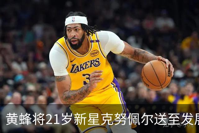 黄蜂将21岁新星克努佩尔送至发展联盟，复出之路开启